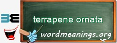 WordMeaning blackboard for terrapene ornata